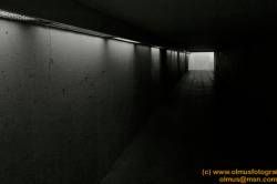 DSC00572-Version-2