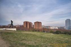 SONY DSC
