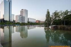 SONY DSC