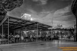 SONY DSC