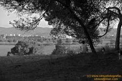 SONY DSC