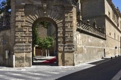 www.olmusfotografia.es