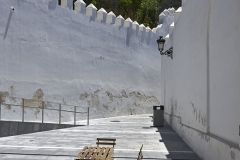 www.olmusfotografia.es