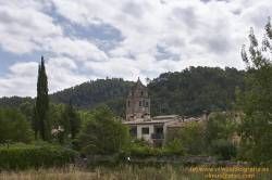 www.olmusfotografia.es