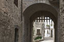www.olmusfotografia.es