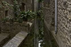 www.olmusfotografia.es