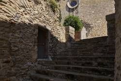www.olmusfotografia.es