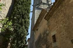 www.olmusfotografia.es