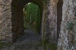 www.olmusfotografia.es