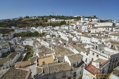 www.olmusfotografia.es