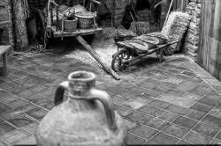 DSC03201-Editar