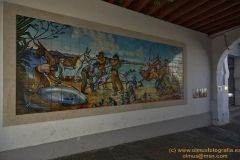www.olmusfotografia.es