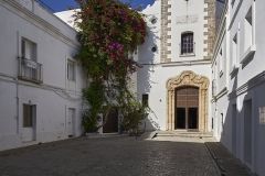 www.olmusfotografia.es
