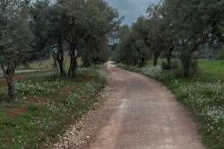 DSC00545