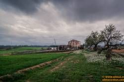 DSC00567-Editar
