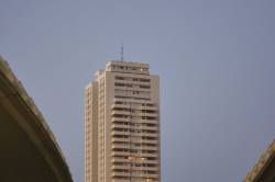 SONY DSC