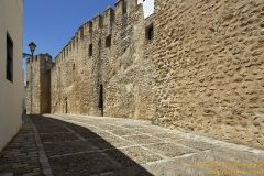 www.olmusfotografia.es