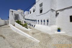 www.olmusfotografia.es