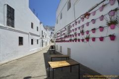 www.olmusfotografia.es