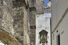 www.olmusfotografia.es