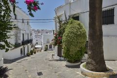 www.olmusfotografia.es