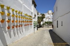 www.olmusfotografia.es