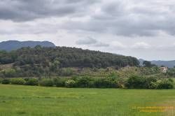 DSC03827