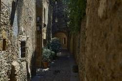 www.olmusfotografia.es