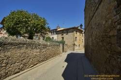 www.olmusfotografia.es