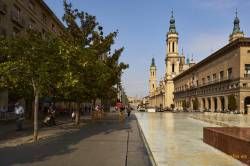 SONY DSC